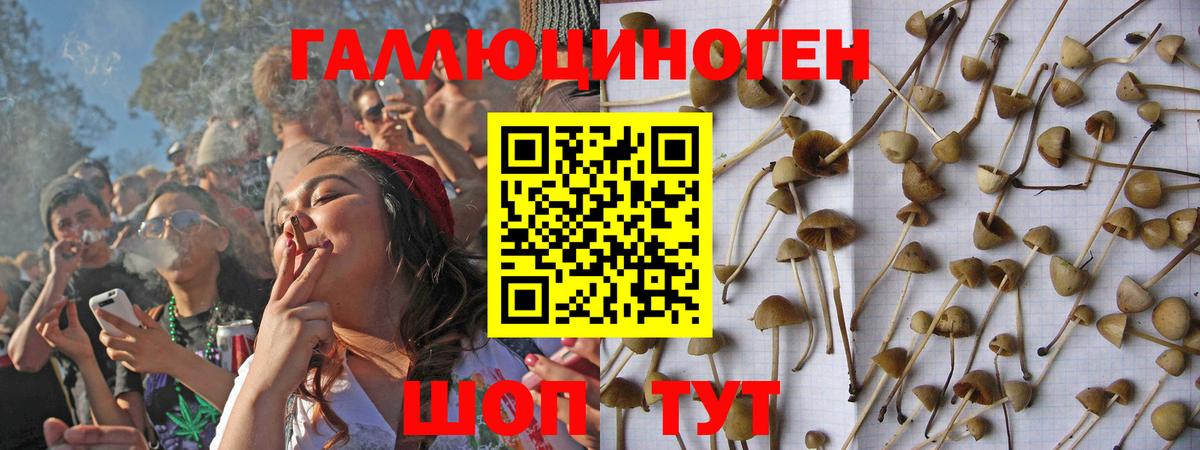 Псилоцибиновые грибы Magic Shrooms Еманжелинск